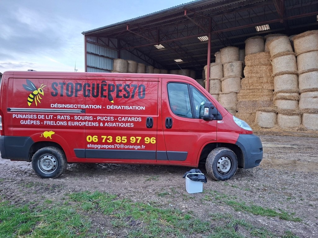 Exterminateur blattes  Vesoul Jussey Luxeuil-les-Bains